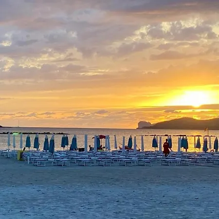 Giardino Eucalipti * Alghero