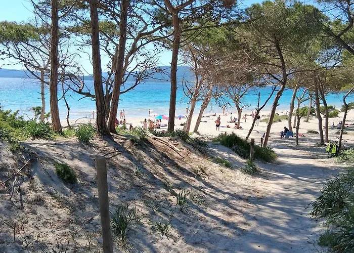 Giardino Eucalipti *