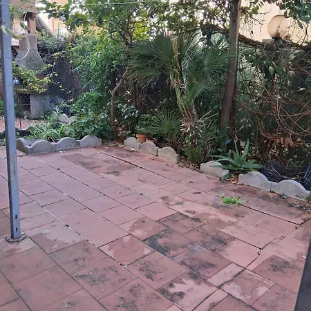 Giardino Eucalipti *